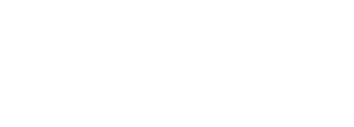 20Aniv logo-03