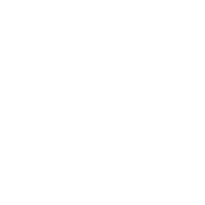 FERROVIARIO Texto